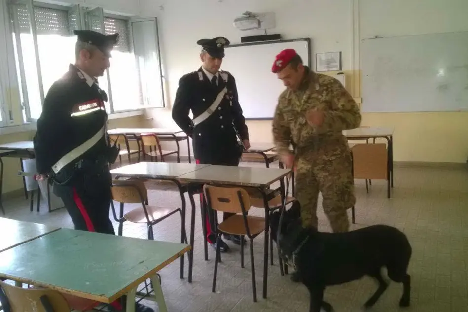I controlli anti droga dei carabinieri