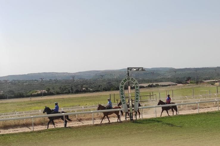 Cavalli in allenamento all'ippodromo di Sassari (L'Unione Sarda - Marras)