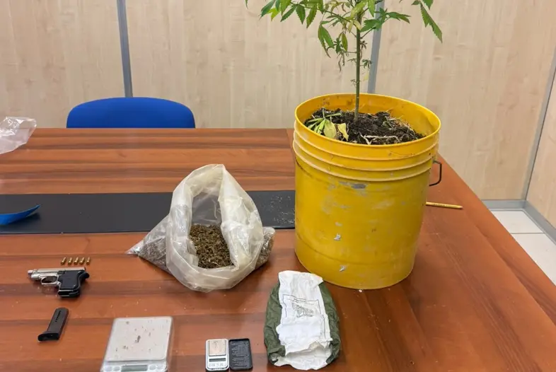 Il materiale sequestrato dalla Polizia