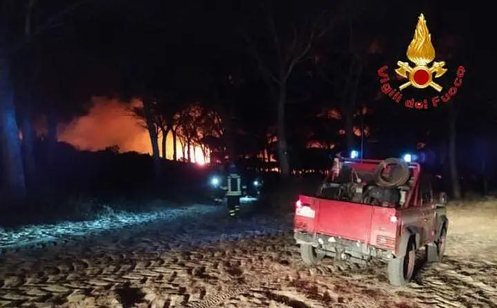Notte di fuoco nell'Oristanese (foto Vvf)