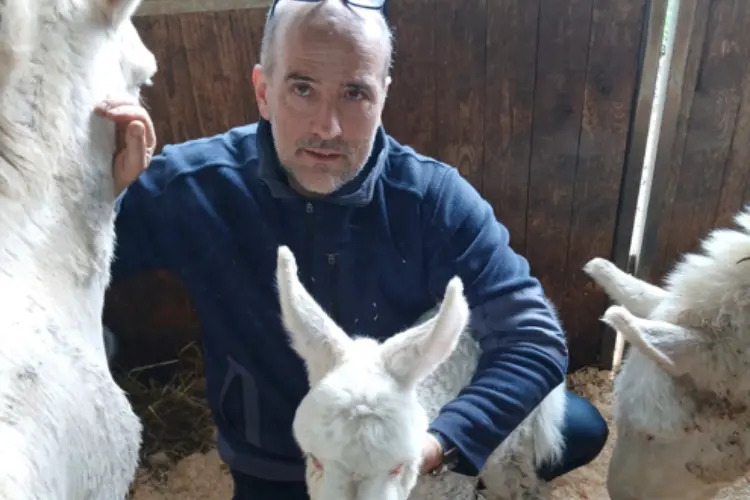 L'asinello bianco Ninneddu con il veterinario Pilo (foto concessa)