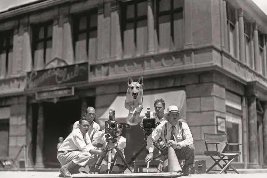 Flash, il cane della Metro Goldwyn Mayer, 1934. Tra i tanti protagonisti della mostra "Bestiale! Animal Film Stars". John Kobal Foundation