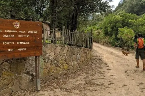 Un sentiero del parco di Gutturu mannu (foto Murgana)