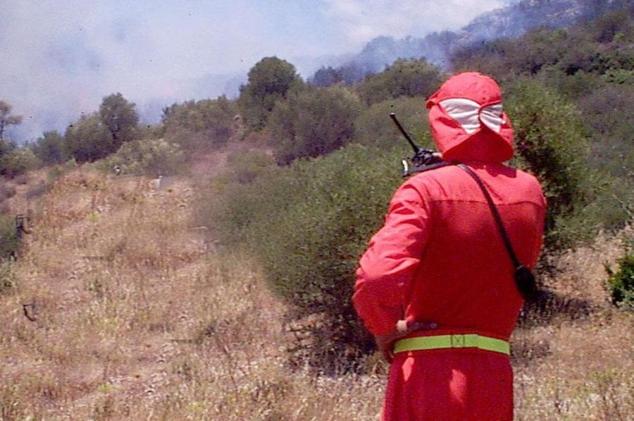 Niente vedette antincendio, boschi a rischio