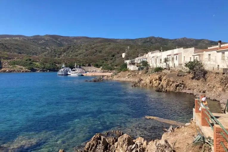 L'isola dell'Asinara (foto L'Unione Sarda - Pala)