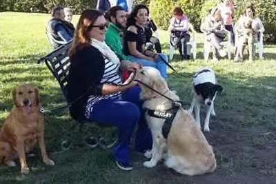 Cani al parco di via Angioni