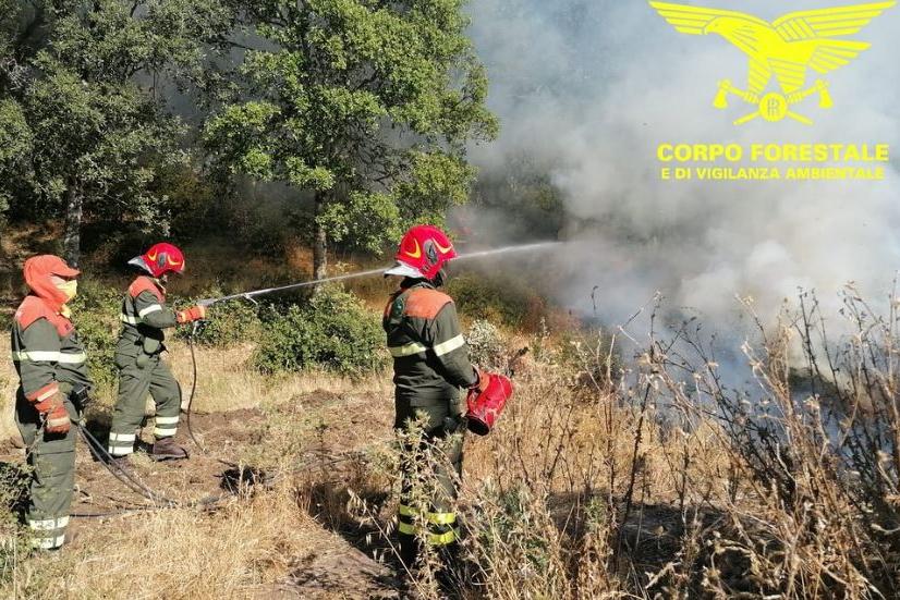 Tredici incendi in Sardegna, a Burgos in cenere un ettaro di bosco
