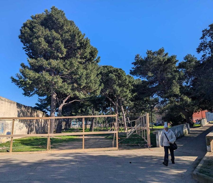 Ampliamento cimitero, lavori bloccati per i pini: attesa per oggi la risposta sul futuro del cantiere