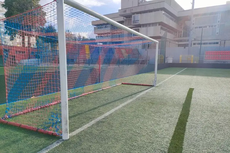 Campo da calcio (foto Ansa)