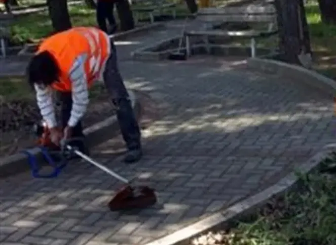 Forza lavoro grazie ai bandi per l’impiego