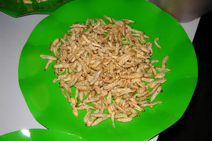 Un piatto a base di larve (Ansa)