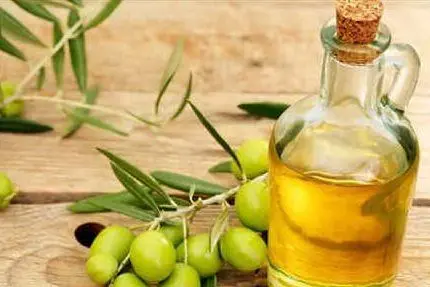 L'olio biologico di Villacidro