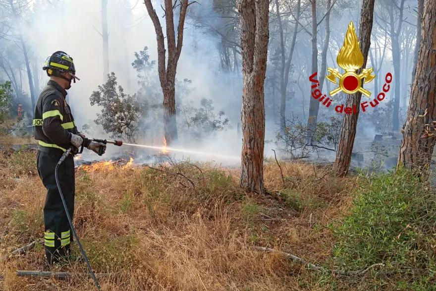 Incendio nella pineta di Aglientu