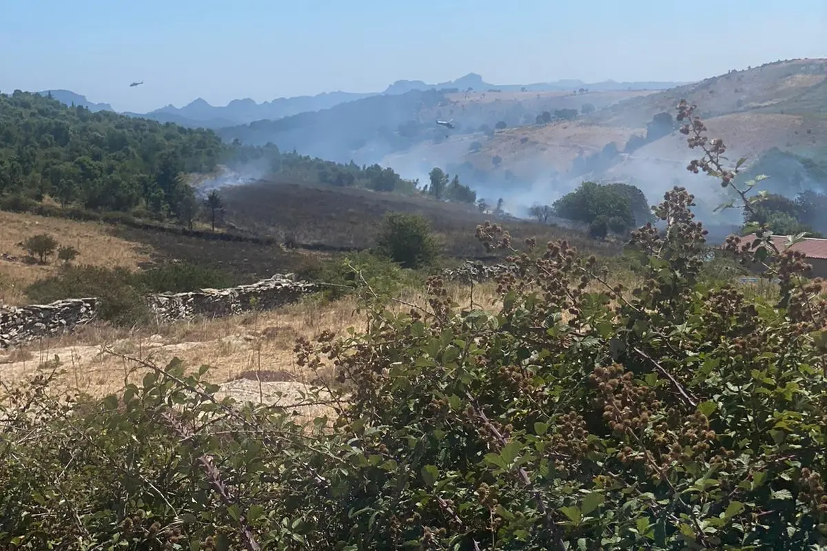 Campagne in fiamme a pochi chilometri da Esterzili (foto Melis)