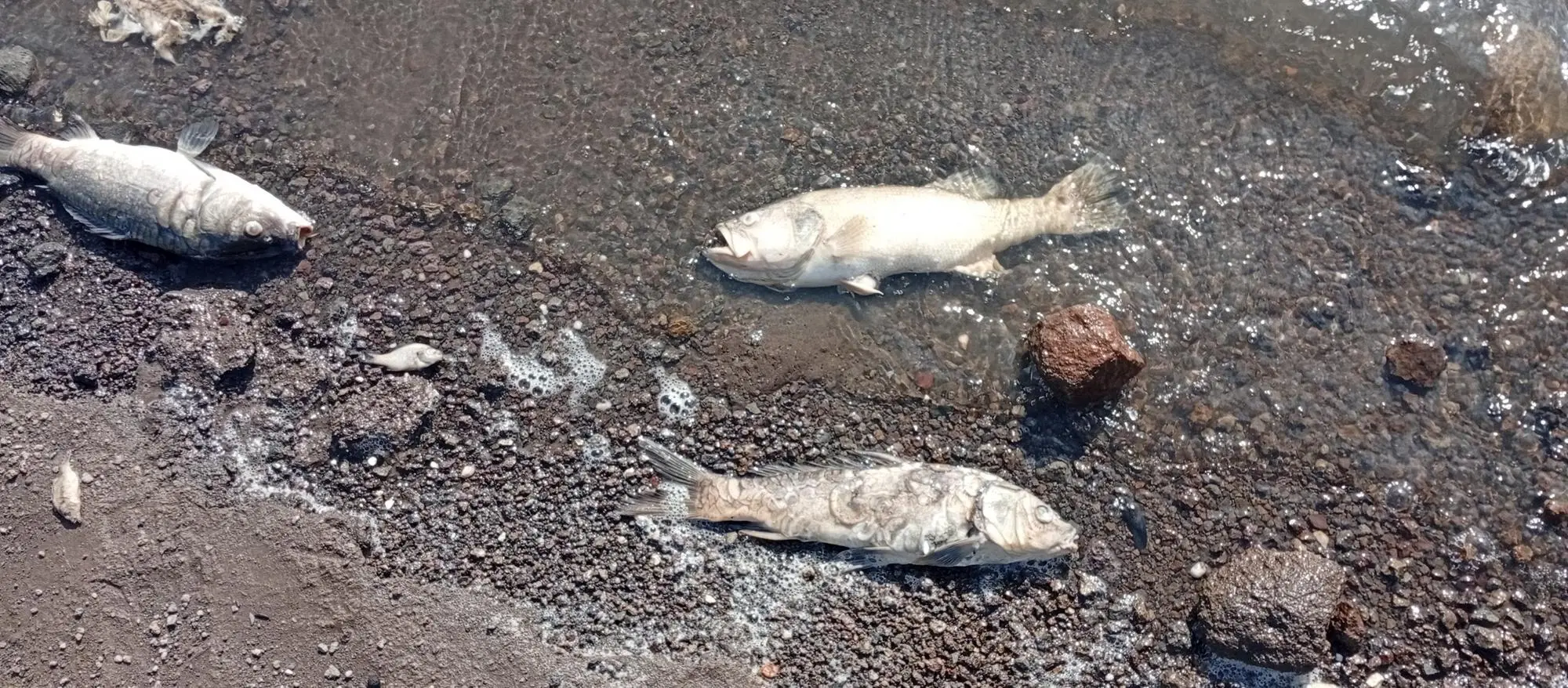 contentid/41d972cd-1b44-4a3d-8aa7-f48fb823dfc3