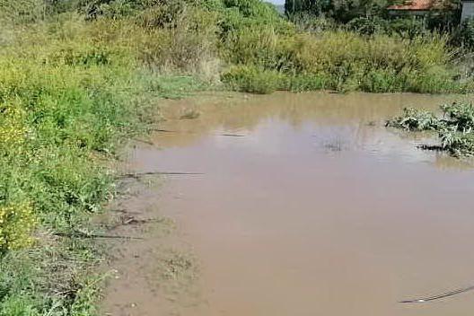 Esondano i canali di irrigazione, danni incalcolabili nella valle del Coghinas