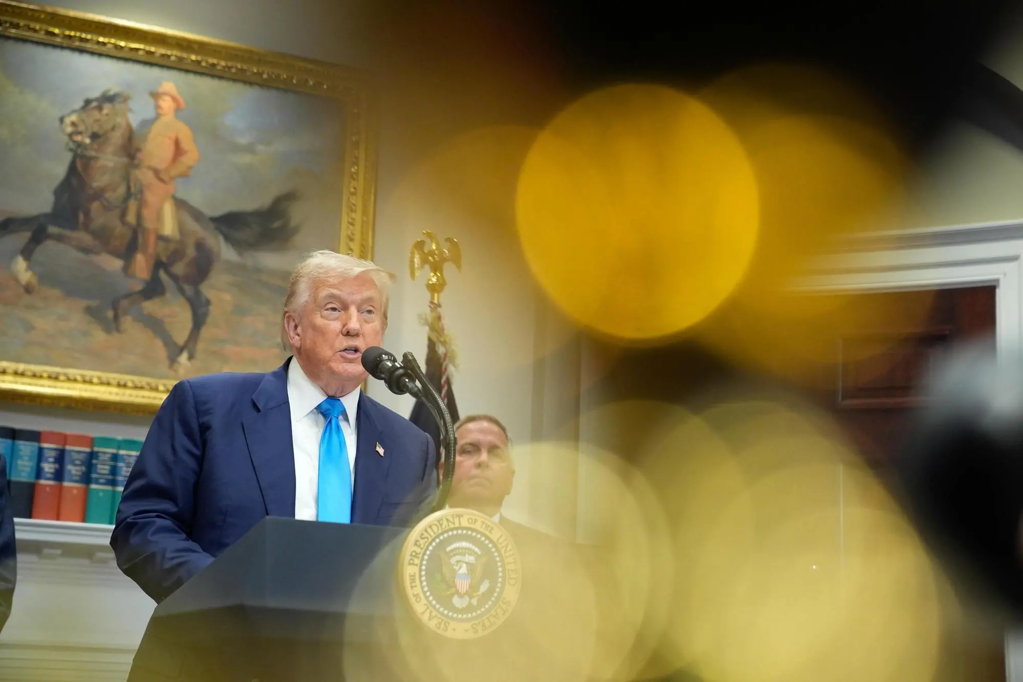 Donald Trump (Ansa)