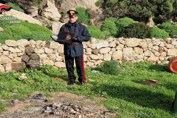 Controlli dei carabinieri all'Asinara