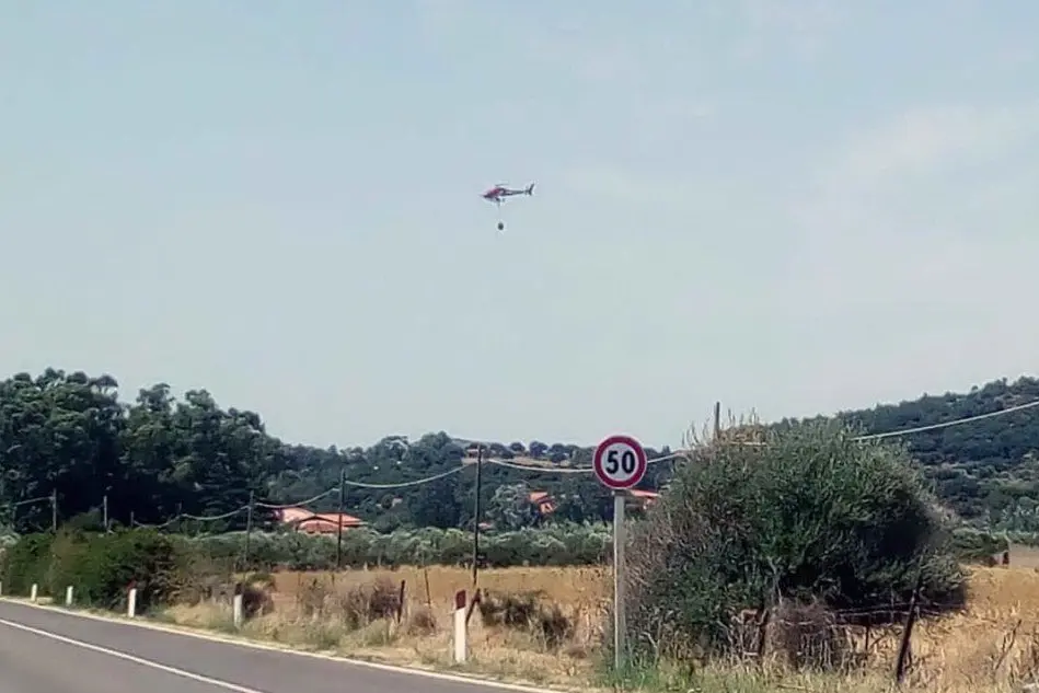 L'elicottero in azione nelle campagne di Guspini (foto Antonio Pintori)