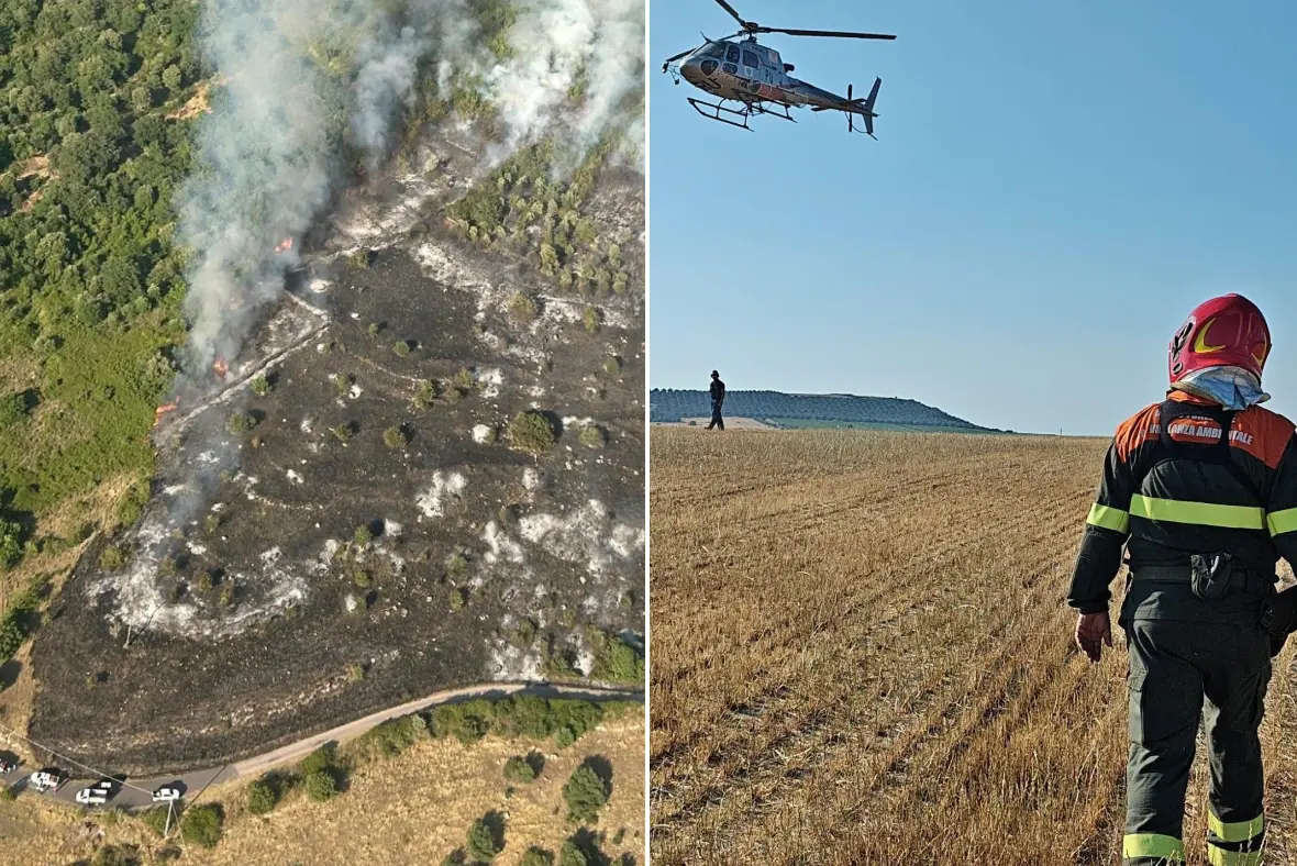 Incendio Bonorva e operazioni Corpo forestale