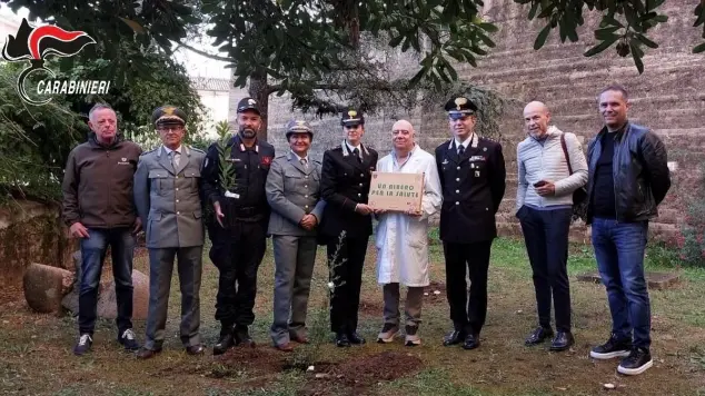 https://immagini.unionesarda.it/version/c:MTc3YzIyYzktZGM0Ny00:MDM3M2MwYWItMDQzNy00/image.webp?f=16:9
