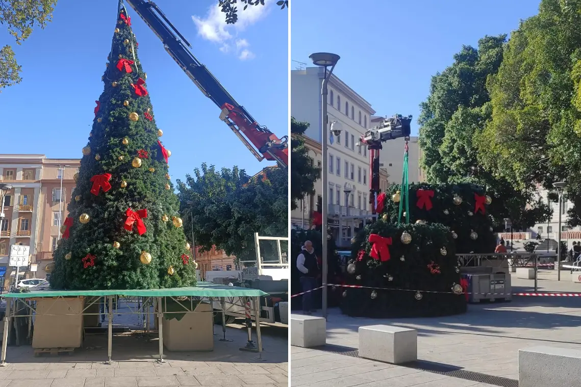 L'albero di Natale in piazza Graibaldi