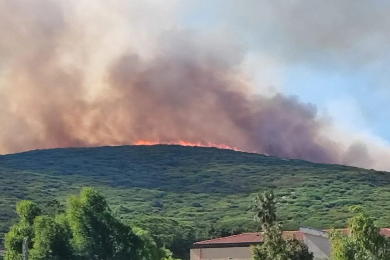 Fiamme tra Santa Maria La Palma e l'aeroporto- Alghero (foto Pala)