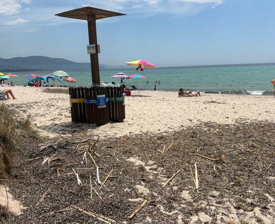 Via dalle spiagge le canne portate dal ciclone Harry