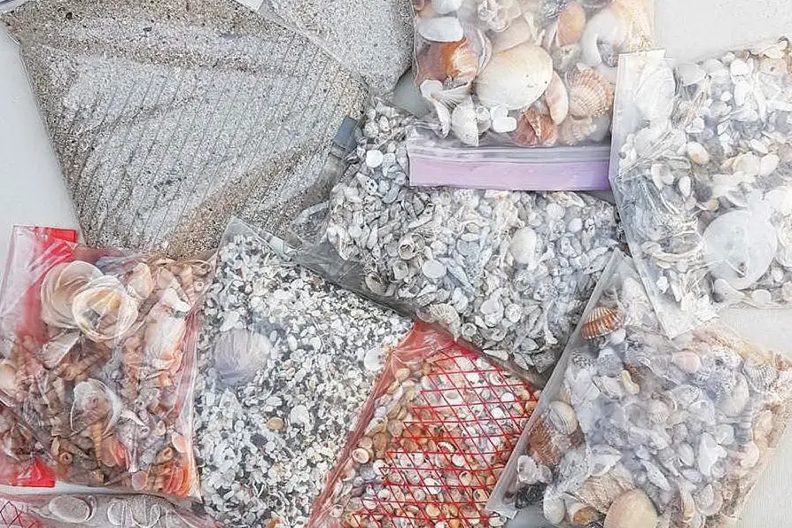 Parte del materiale restituito (foto Sardegna rubata e depredata)