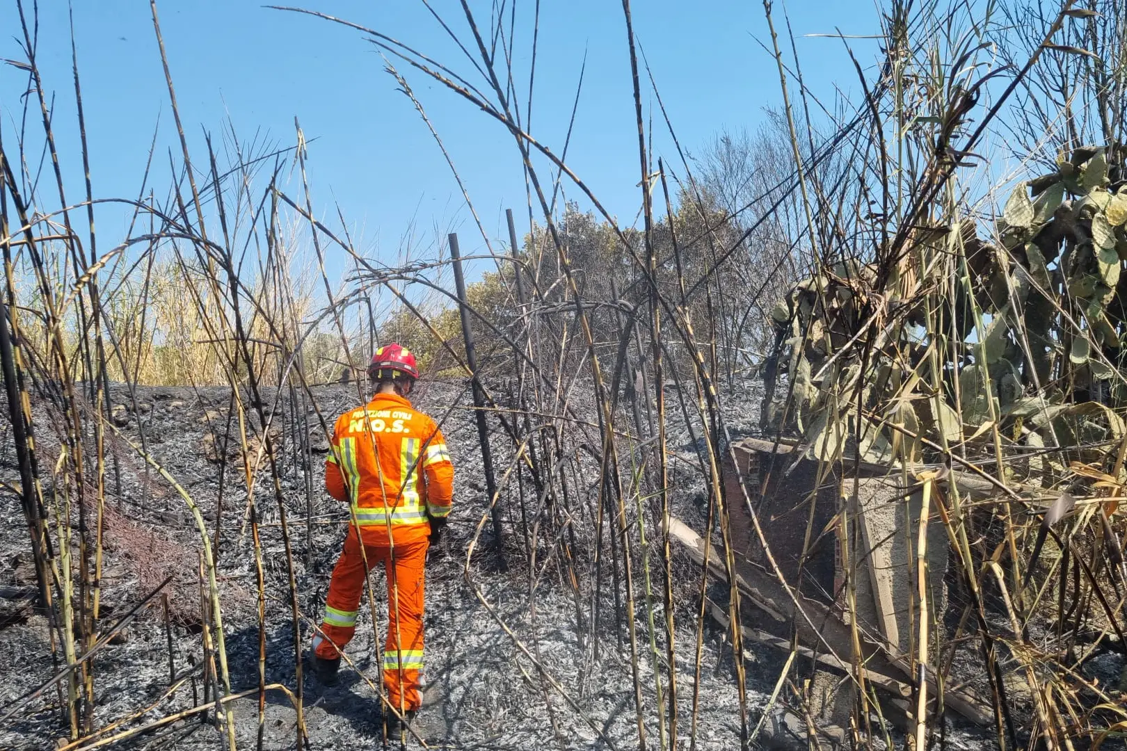 Quartu, fuoco in un canneto a Capitana L'incendio (foto Serreli)