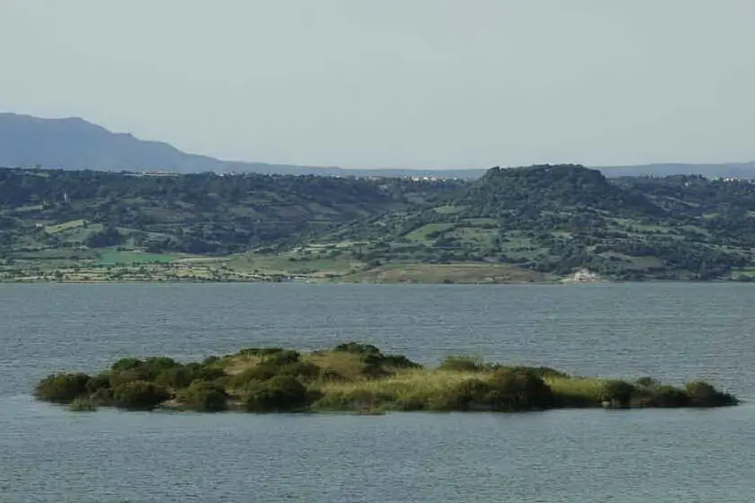 Il lago Omodeo (Archivio L'Unione Sarda)