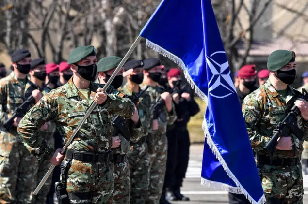 Truppe Nato (Ansa)