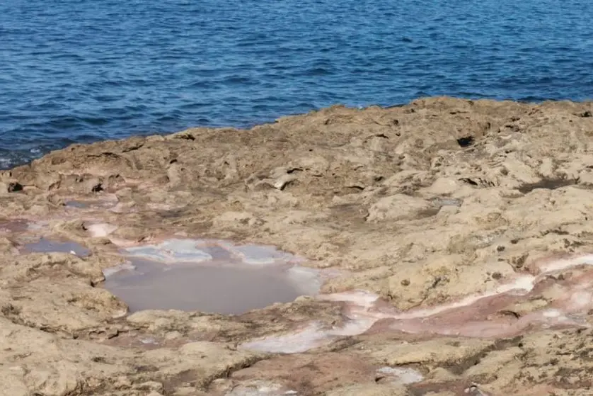 Sversamento della sostanza in mare (Pala)