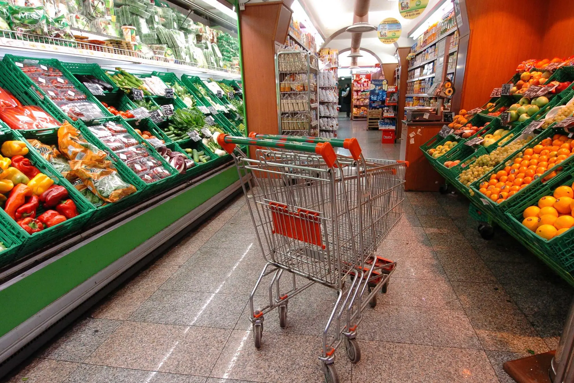 Un carrello vuoto in un supermercato come simbolo della crisi (Ansa)