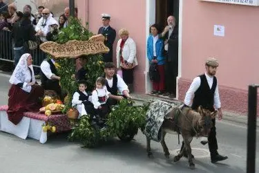 Un carretto trainato da un asinello durante la Sagra degli Agrumi