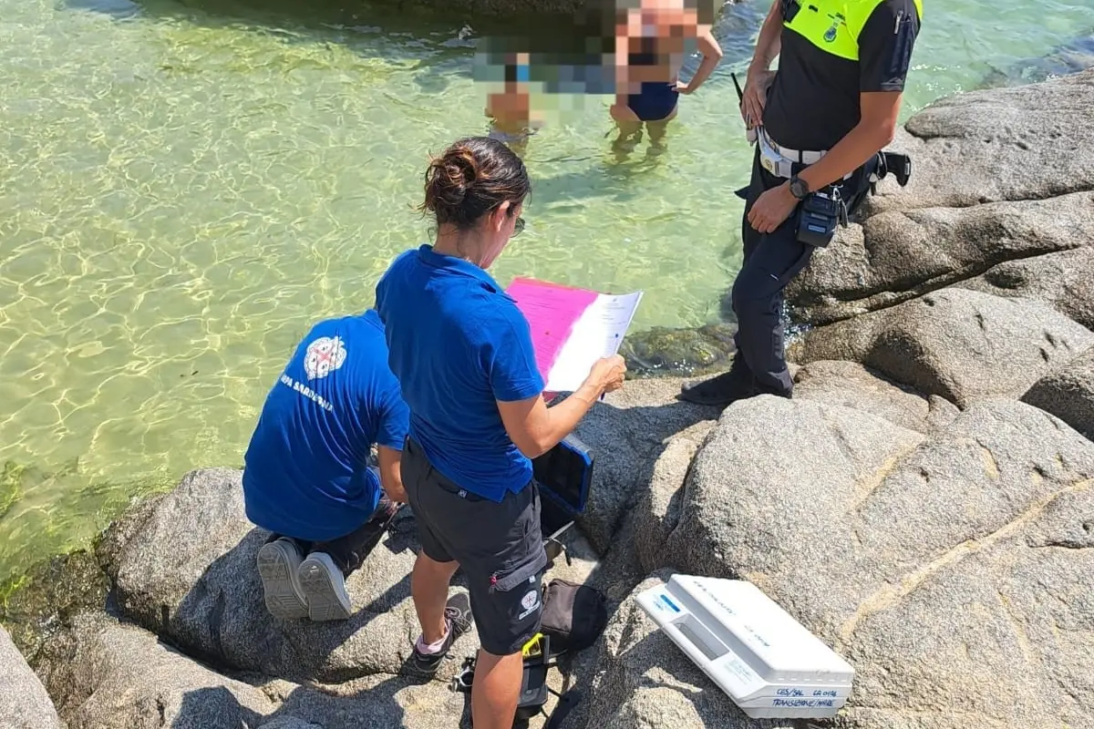 I controlli a Solanas