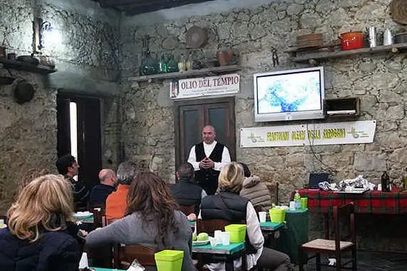 Degustazione dell'olio di Dolianova