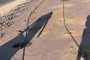 La rotatoria dove sono state rubate le piante (Foto concessa)