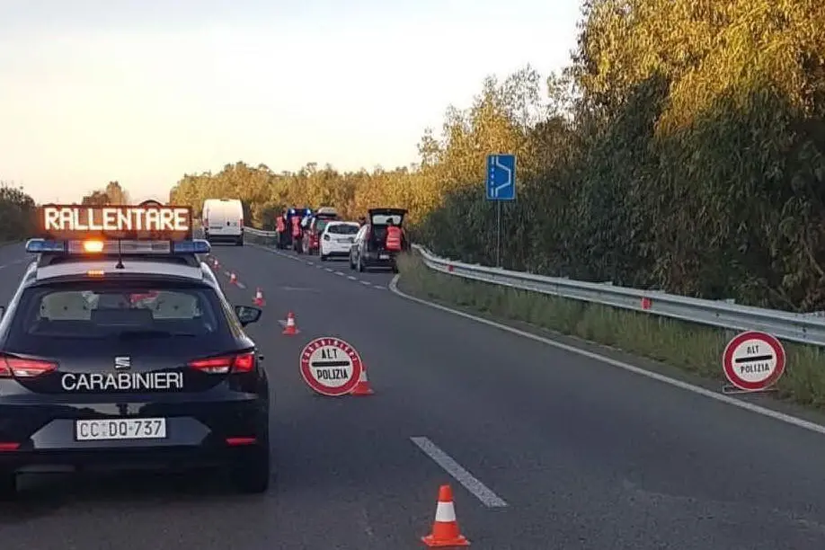 L'operazione dei carabinieri (L'Unione Sarda - foto Scano)