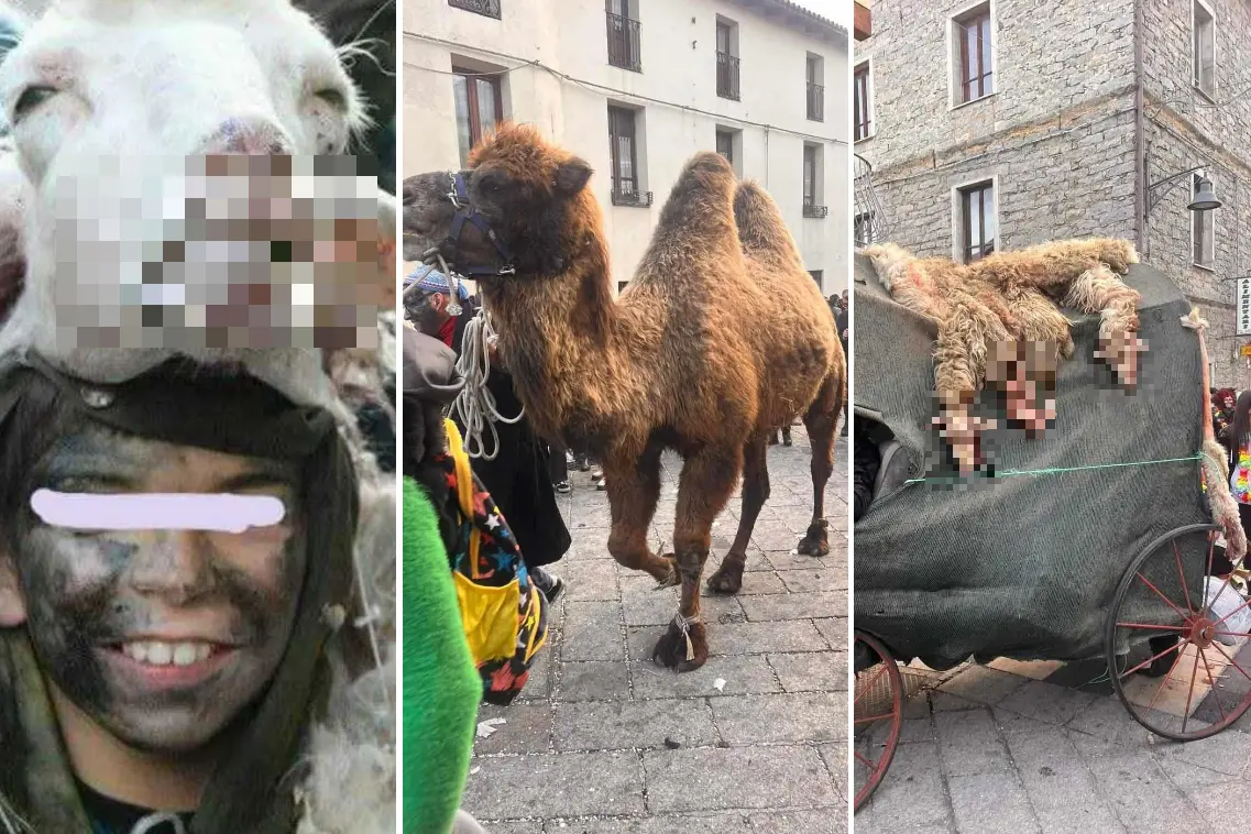 Le immagini del Carnevale di Ovodda