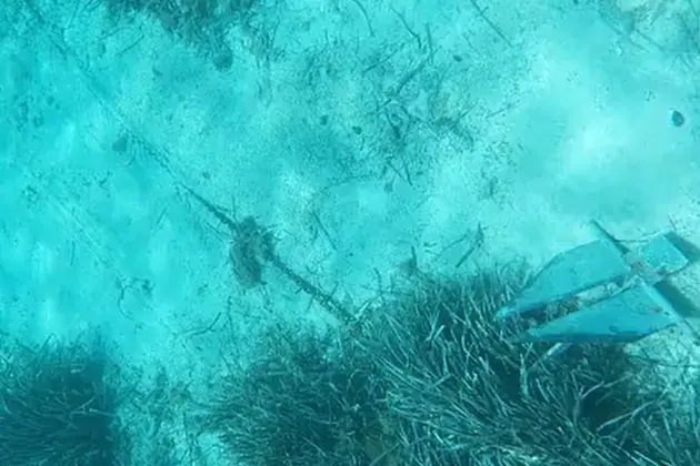 Ancora vicino alla posidonia (foto Amici di Talmone e Cala di Trana)
