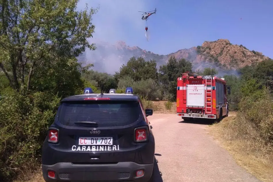 In azione anche gli elicotteri (foto carabinieri)