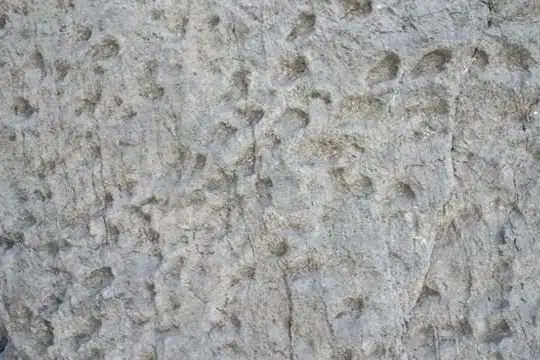 Nel Parco dello Stelvio trovate migliaia di orme di dinosauri