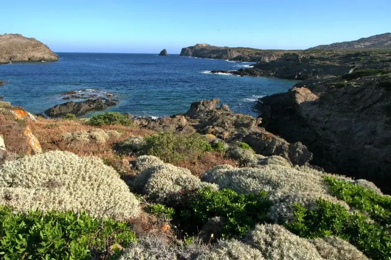 L'isola dell'Asinara (foto Pala)