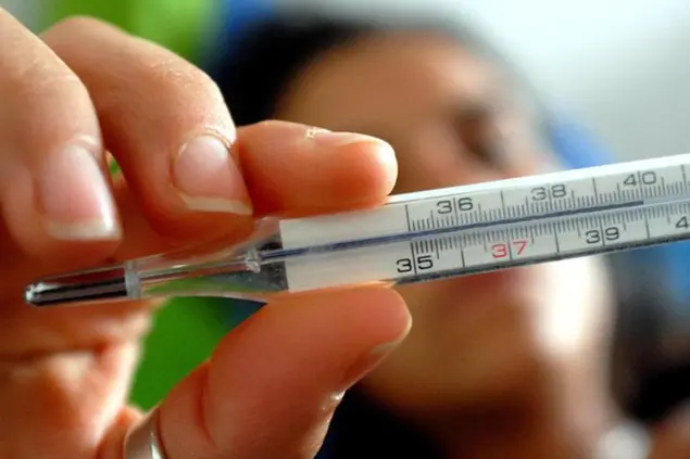 L'influenza corre veloce in Italia (Ansa)