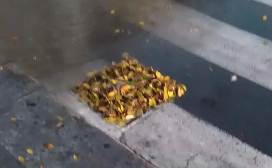 Un tombino nel centro del capoluogo ostruito dalle foglie