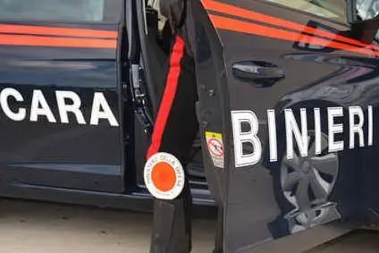 (Ansa)