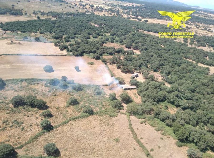 18 Incendi In Sardegna In 4 Zone Operano Gli Elicotteri Del Corpo Forestale L Unione Sarda It