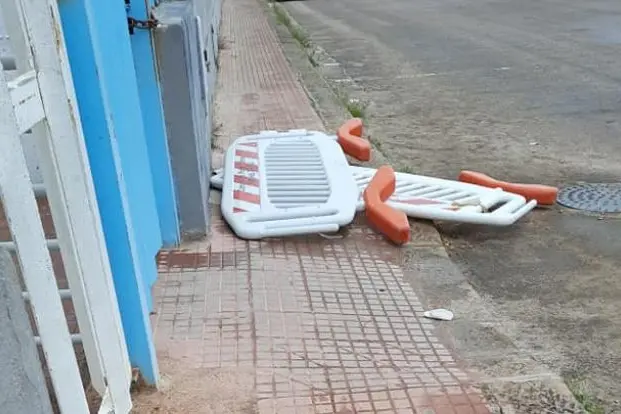 (Foto Pala)