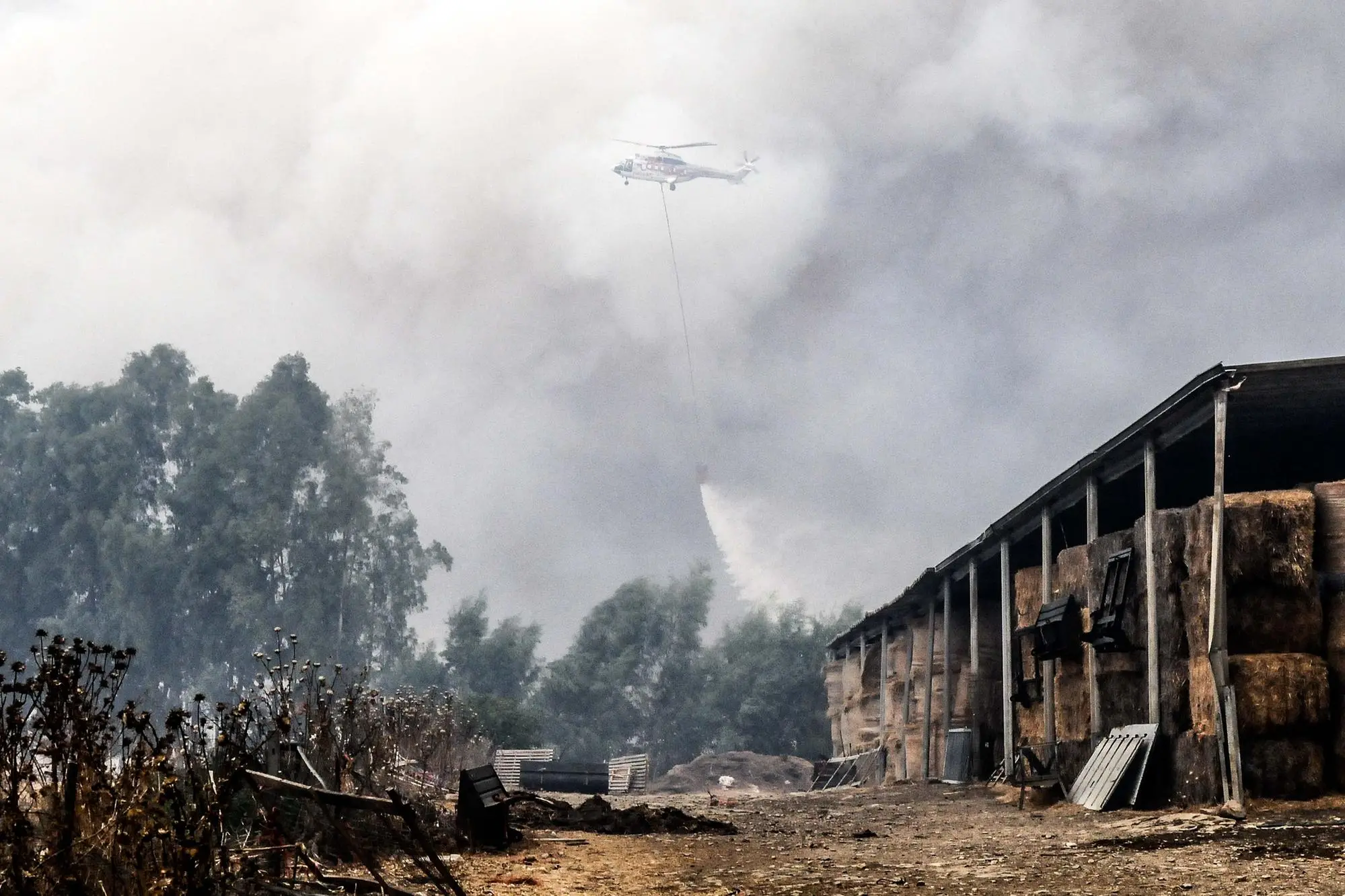 Roghi e devastazione a Villacidro (foto Angelo Cucca - L'Unione Sarda)